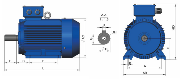 Series-Three-Phase-Motor-with-Cast-Iron-Body3